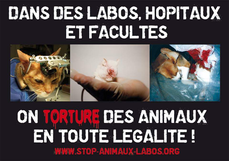 AMIENS  – Samedi 14 octobre – STOP aux animaux dans les labos