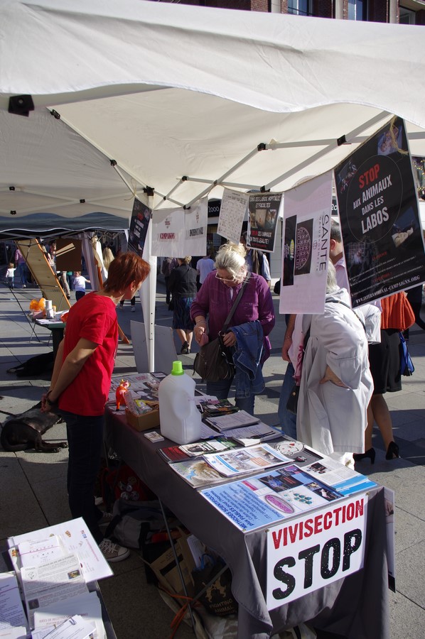 AMIENS – Samedi 14 octobre 2017 – Stand STOP aux animaux dans les labos