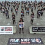 MARSEILLE – Samedi 30.09.2017 – Happening géant STOP aux animaux dans les labos