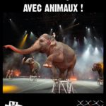 LE HAVRE – Samedi 23 septembre 2017 – NON aux cirques avec animaux