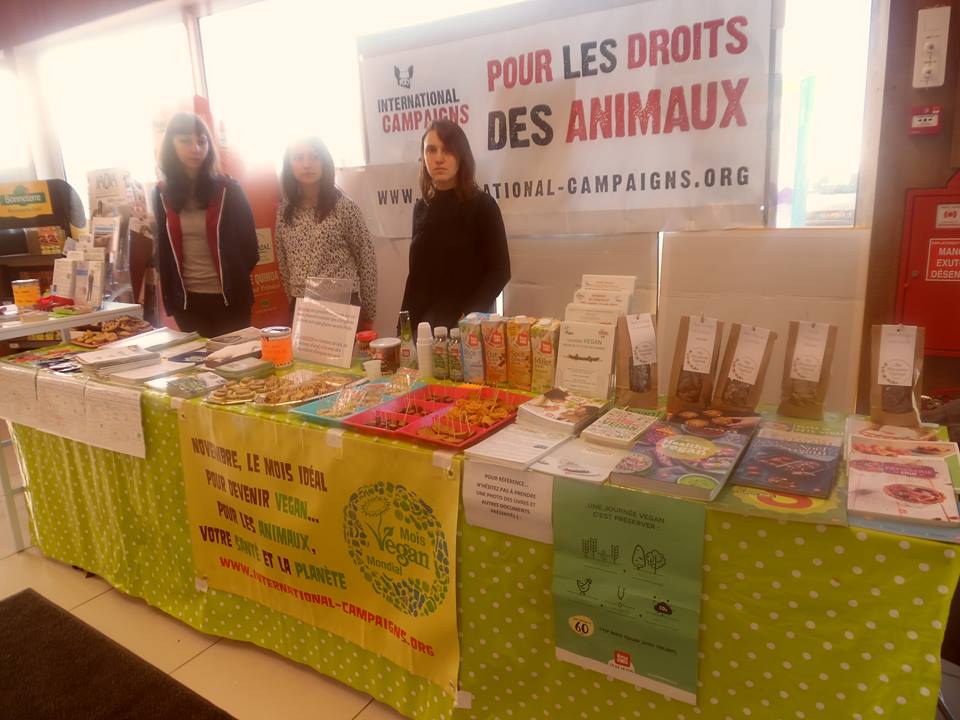 NANCY – Mois Mondial Vegan – Samedi 18 novembre 2017