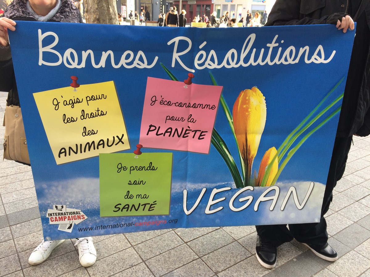LYON – Bonnes Résolutions Vegan – 13 janvier 2018