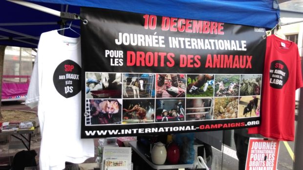 Journée Internationale pour les Droits des Animaux - Evreux