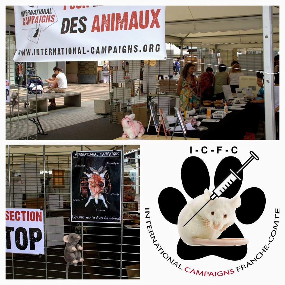 BELFORT – STOP aux animaux dans les labos – Samedi 30 juin 2018