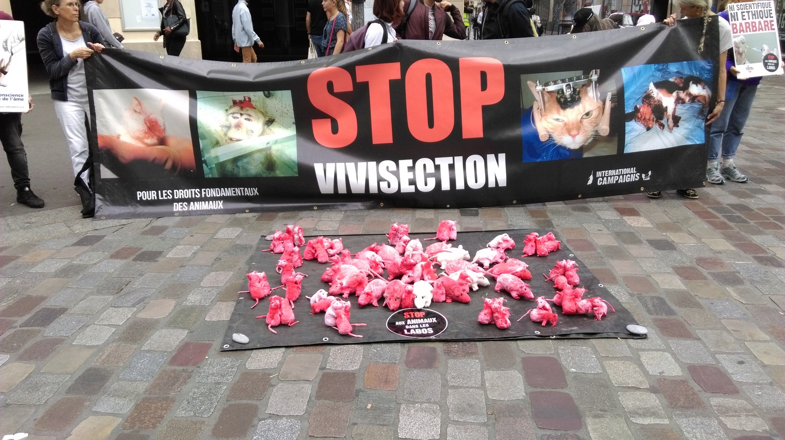 PARIS – Vivisection : Cages Vides – Samedi 15 septembre 2018