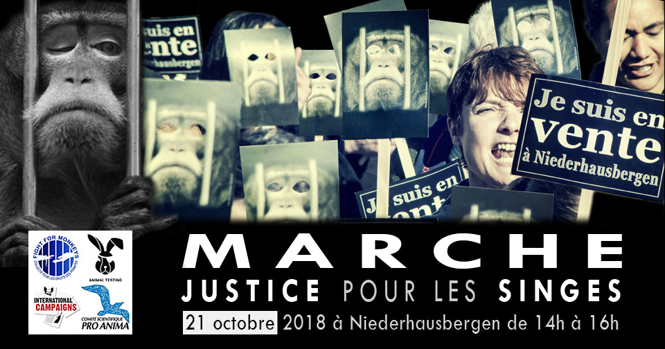 NIEDERHAUSBERGEN – Dimanche 21 octobre 2018 – Justice pour les singes !