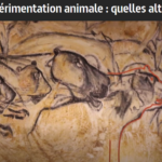 24 avril 2019 : la vivisection au programme d’Arte