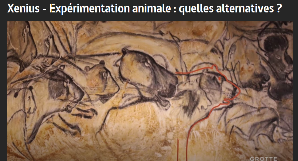 24 avril 2019 : la vivisection au programme d’Arte