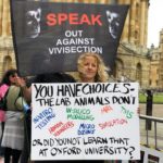 Un point sur la vivisection – et l’antivivisection – en Grande-Bretagne – Entretien avec Mel Broughton
