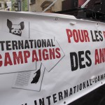 International Campaigns – Rétrospective 2015