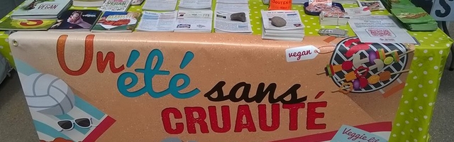 Un Été sans cruauté