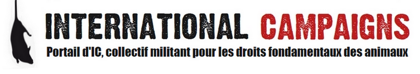 International Campaigns - Pour les droits fondamentaux des animaux